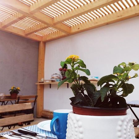 B&B Sea Salt Terrasini Ngoại thất bức ảnh
